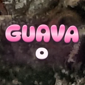 Guava O Cannabis Strain