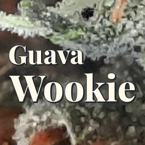 Guava Wookie Cannabis Strain