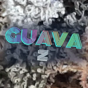 Guava Z Cannabis Strain