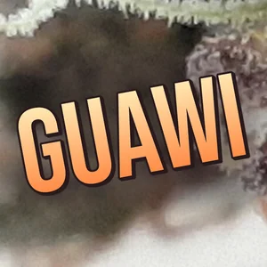 Guawi Cannabis Strain