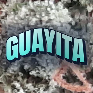 Guayita Cannabis Strain