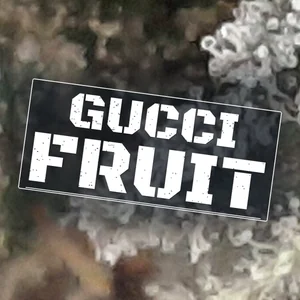 Gucci Fruit Cannabis Strain