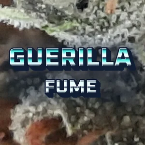 Guerilla Fume Cannabis Strain