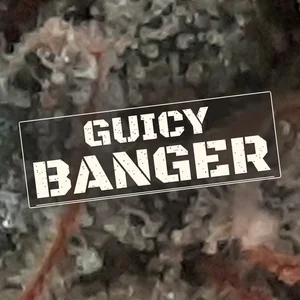 Guicy Banger Cannabis Strain