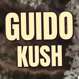 Guido Kush Cannabis Strain