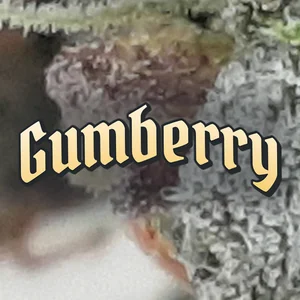Gumberry Cannabis Strain