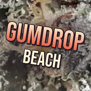 Gumdrop Beach Cannabis Strain