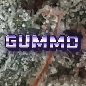 Gummo Cannabis Strain