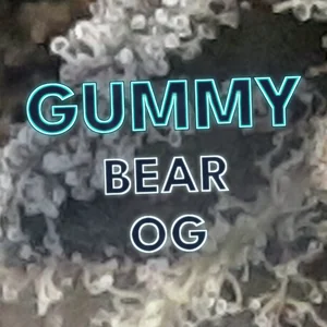 Gummy Bear OG Cannabis Strain