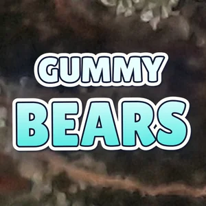 Gummy Bears Cannabis Strain