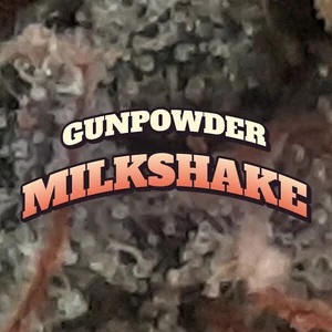 Gunpowder Milkshake Cannabis Strain