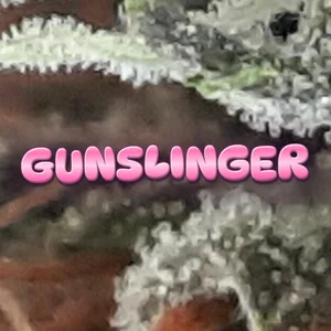 Gunslinger Cannabis Strain