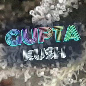 Gupta Kush Cannabis Strain