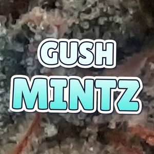 Gush Mintz Cannabis Strain