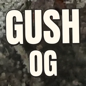 Gush OG Cannabis Strain