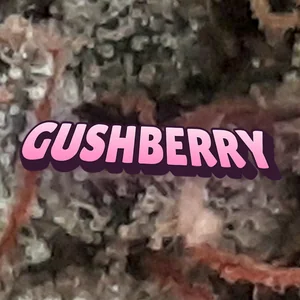 Gushberry Cannabis Strain