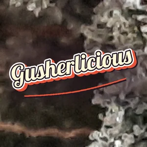 Gusherlicious Cannabis Strain