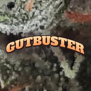 Gutbuster Cannabis Strain
