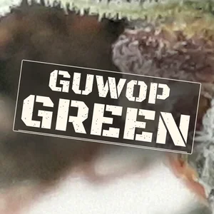 Guwop Green Cannabis Strain