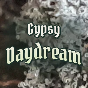 Gypsy Daydream Cannabis Strain