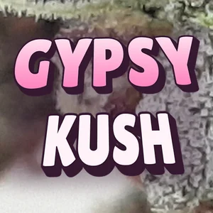Gypsy Kush Cannabis Strain