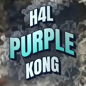 H4L Purple Kong Cannabis Strain