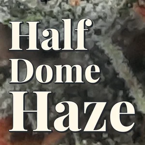Half Dome Haze Cannabis Strain