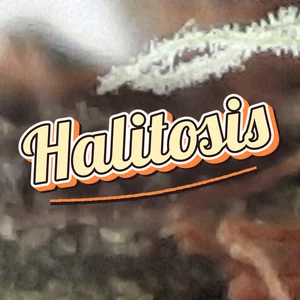 Halitosis Cannabis Strain
