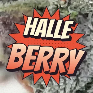 Halle Berry Cannabis Strain