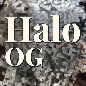Halo OG Cannabis Strain