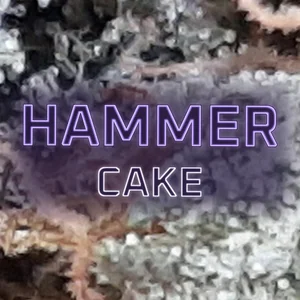 Hammer Cake Cannabis Strain