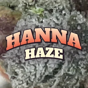 Hanna Haze Cannabis Strain