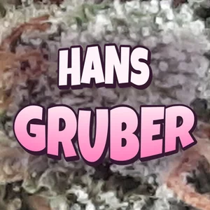 Hans Gruber Cannabis Strain