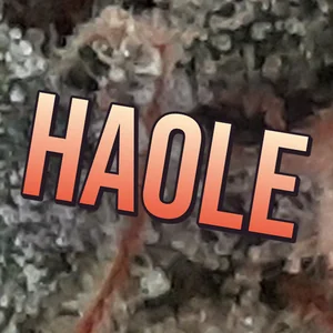 Haole Cannabis Strain