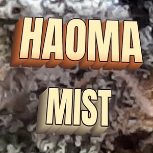 Haoma Mist Cannabis Strain
