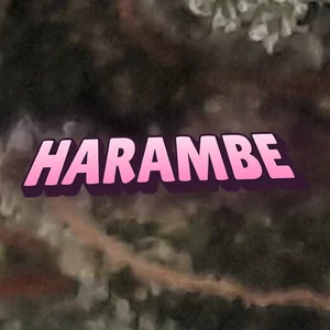 Harambe Cannabis Strain