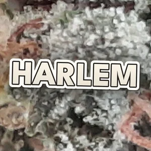 Harlem Cannabis Strain