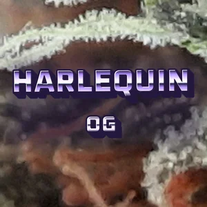 Harlequin OG Cannabis Strain