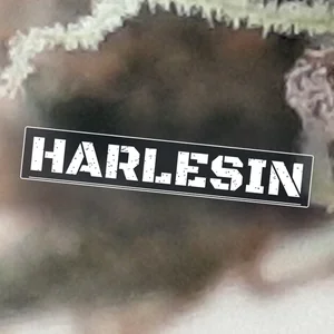 Harlesin Cannabis Strain
