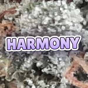 Harmony Cannabis Strain