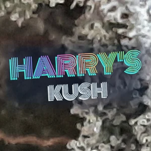 Harry's Kush Cannabis Strain