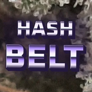 Hash Belt Cannabis Strain