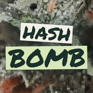 Hash Bomb Cannabis Strain