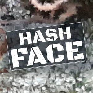 Hash Face Cannabis Strain