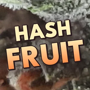 Hash Fruit Cannabis Strain