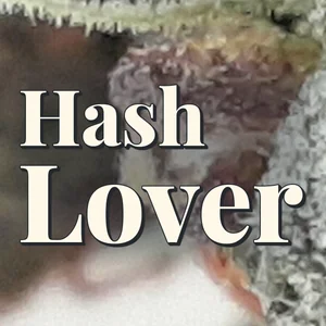 Hash Lover Cannabis Strain