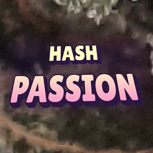 Hash Passion Cannabis Strain