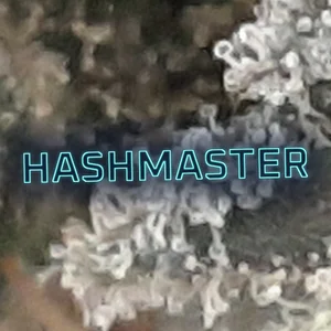 Hashmaster Cannabis Strain