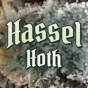Hassel Hoth Cannabis Strain