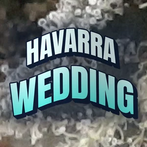 Havarra Wedding Cannabis Strain